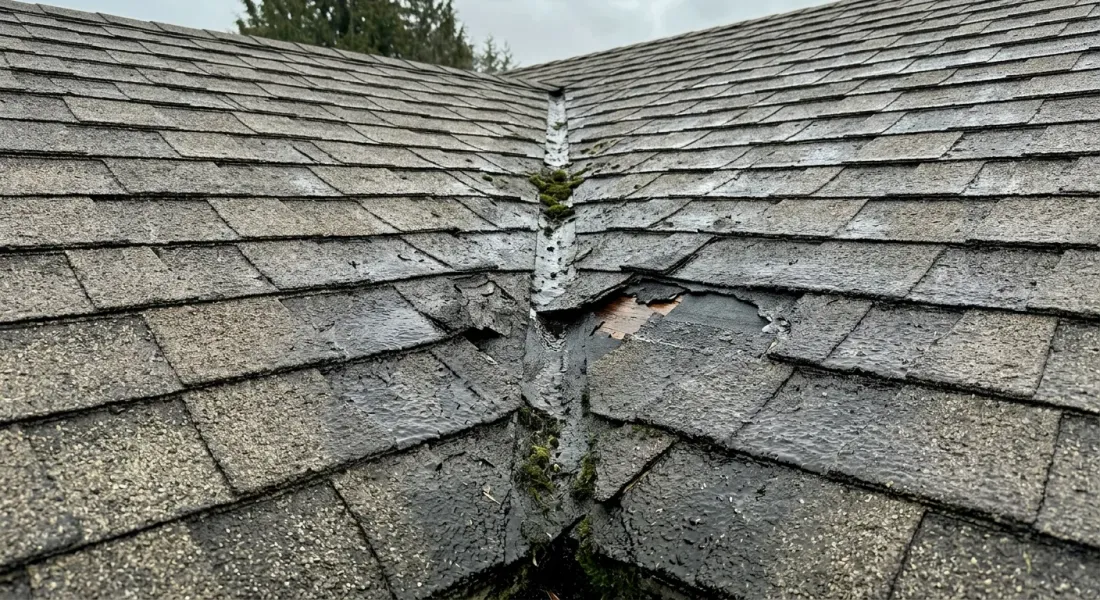 Roof Leak Repair in Chilliwack